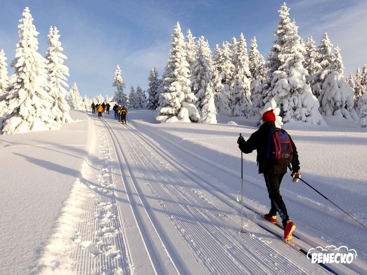 Profamily Hotel Top Benecko Eksteriør billede